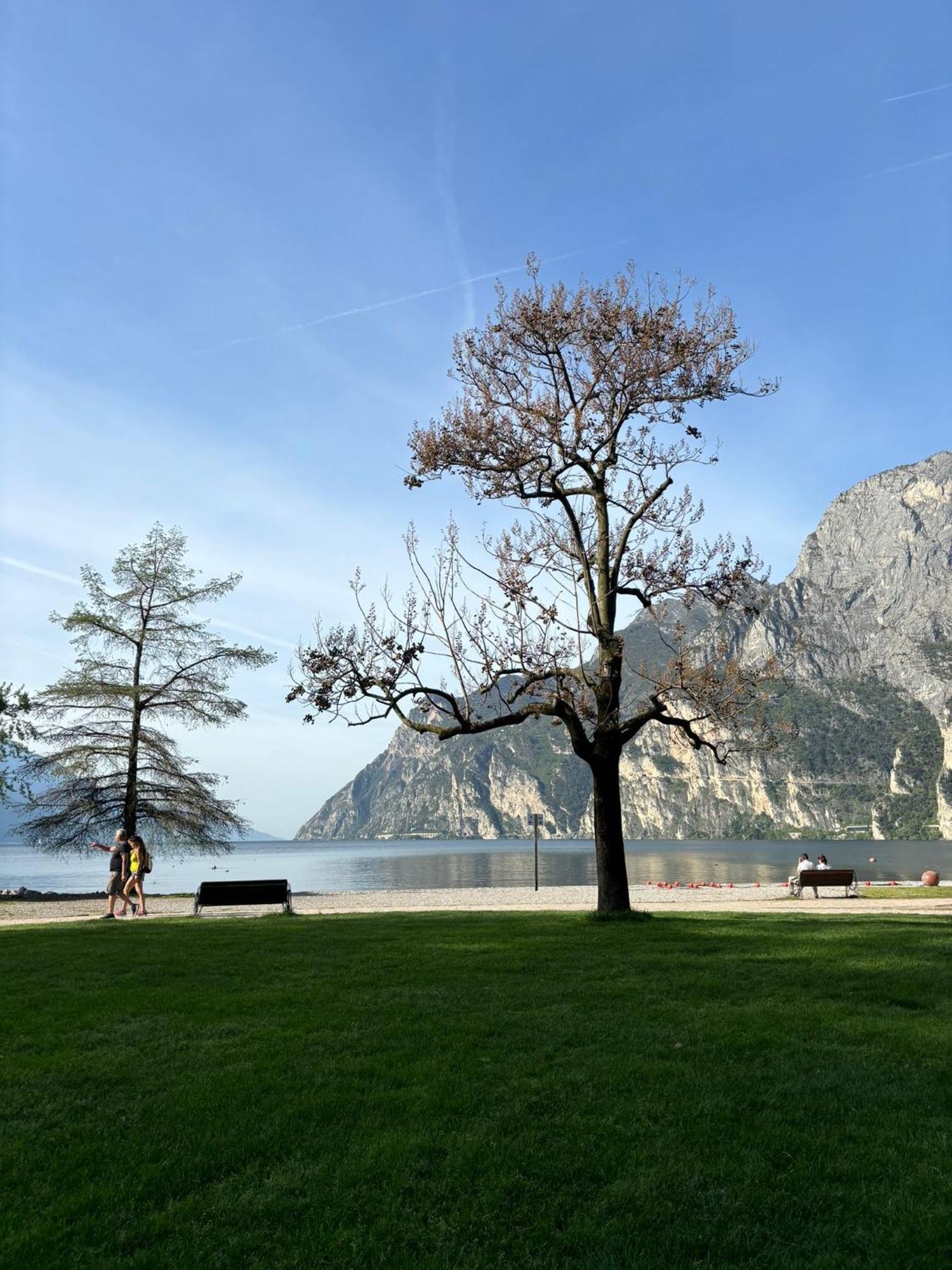 Garden & Pool Perugini Torbole Sul Garda Exterior foto